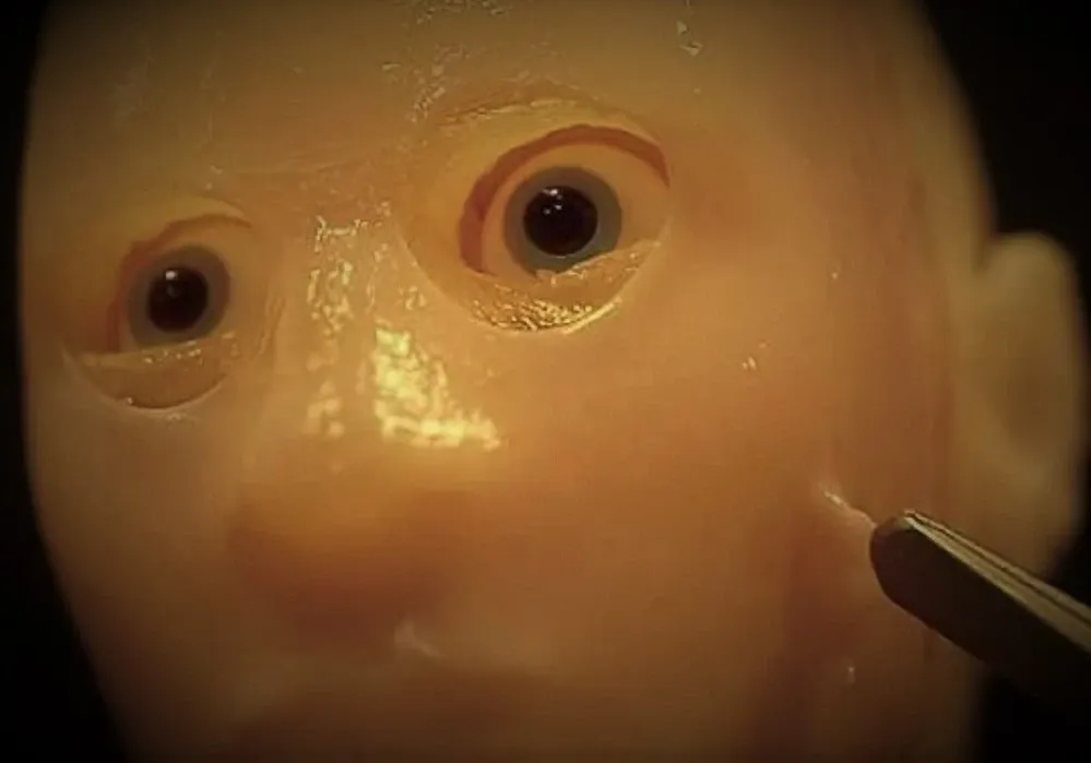 El rostro del futuro, la primera cara de robot con piel humana.