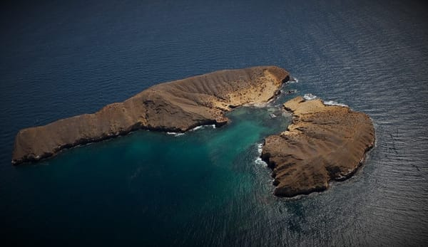 Especies invasoras en Galápagos.