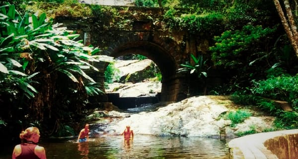 Río de Janeiro: "El Bosque replantado más grande del mundo".